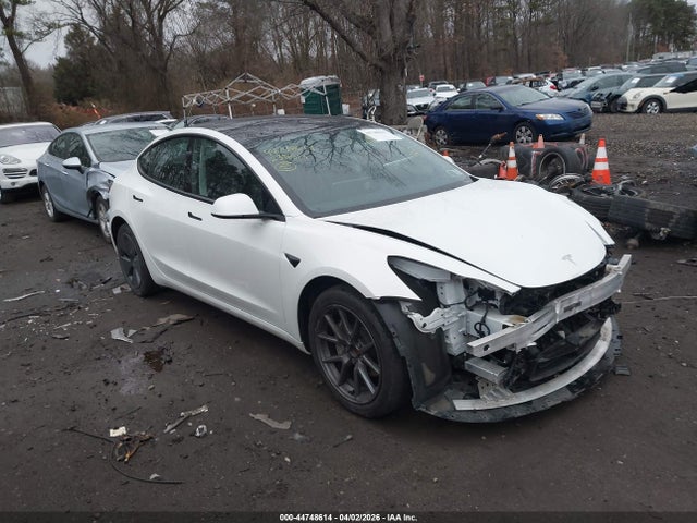 Продажа на аукционе авто 2023 Tesla Model 3 Rear-wheel Drive, vin: 5YJ3E1EA3PF565991, номер лота: 44748614