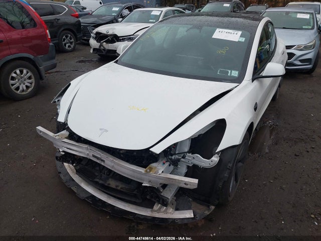 Продажа на аукционе авто 2023 Tesla Model 3 Rear-wheel Drive, vin: 5YJ3E1EA3PF565991, номер лота: 44748614