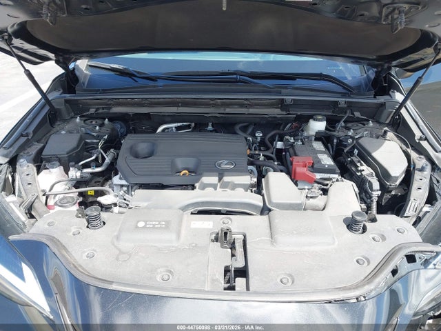 44750088 :رقم المزاد ، 2T2GDCAZ7RC014302 vin ، 2024 Lexus Nx 250 Premium مزاد بيع