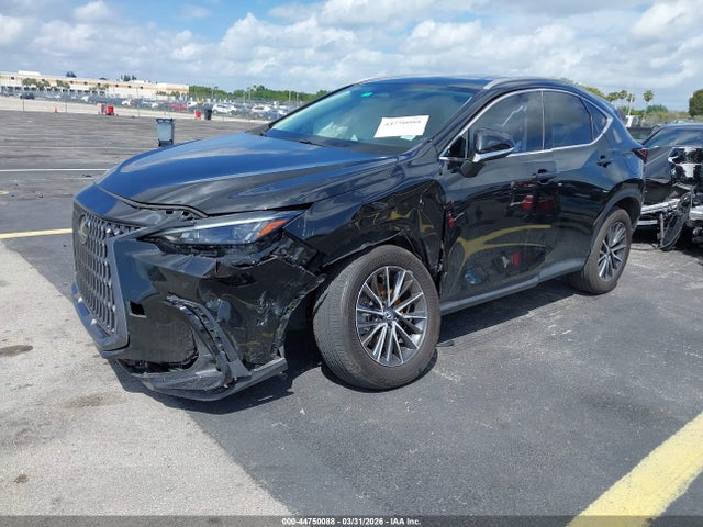 44750088 :رقم المزاد ، 2T2GDCAZ7RC014302 vin ، 2024 Lexus Nx 250 Premium مزاد بيع