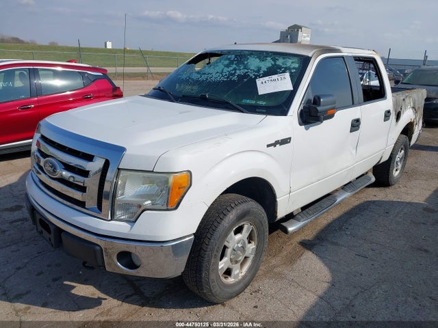 Продажа на аукционе авто 2010 Ford F-150 Xl/xlt, vin: 1FTEW1E89AFD63498, номер лота: 44750125