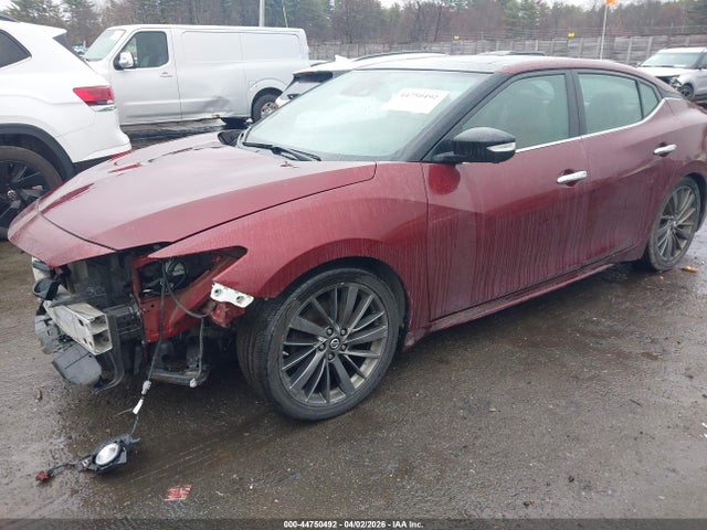 1N4AA6AV4KC363486 Nissan Maxima 3.5 Platinum