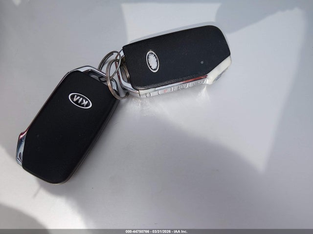 5XYP5DHC7LG045179 KIA Telluride Sx