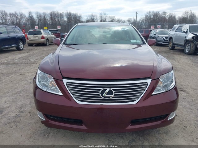 2009 Lexus Ls 460 მანქანა იყიდება აუქციონზე, vin: JTHCL46F095003969, აუქციონის ნომერი: 44750809