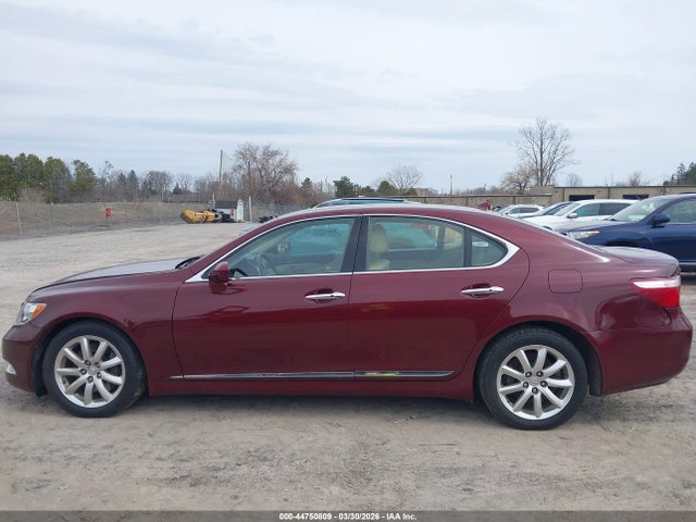 2009 Lexus Ls 460 მანქანა იყიდება აუქციონზე, vin: JTHCL46F095003969, აუქციონის ნომერი: 44750809