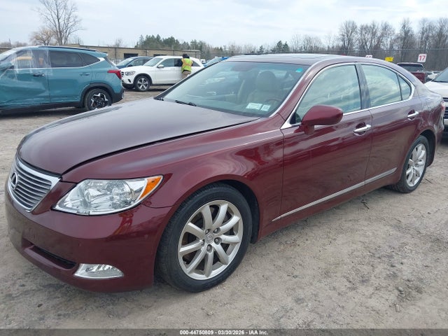 2009 Lexus Ls 460 მანქანა იყიდება აუქციონზე, vin: JTHCL46F095003969, აუქციონის ნომერი: 44750809