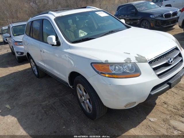 2009 HYUNDAI SANTA FE 5NMSH13E69H328809