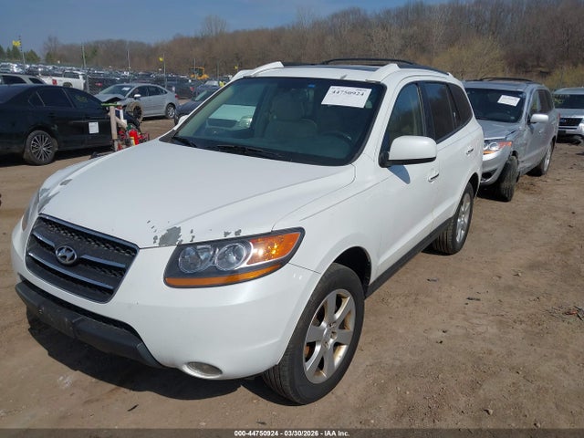 2009 HYUNDAI SANTA FE 5NMSH13E69H328809 Photo 1