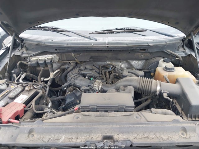 2011 Ford F-150 Xlt მანქანა იყიდება აუქციონზე, vin: 1FTEX1CMXBFB99256, აუქციონის ნომერი: 44751260