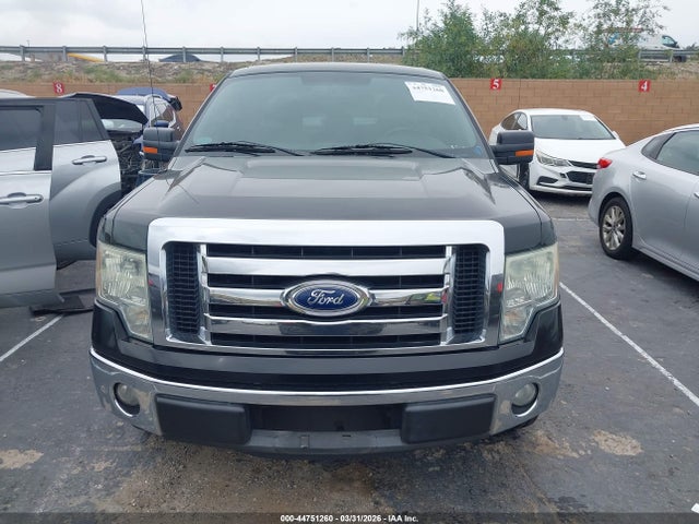 2011 Ford F-150 Xlt მანქანა იყიდება აუქციონზე, vin: 1FTEX1CMXBFB99256, აუქციონის ნომერი: 44751260