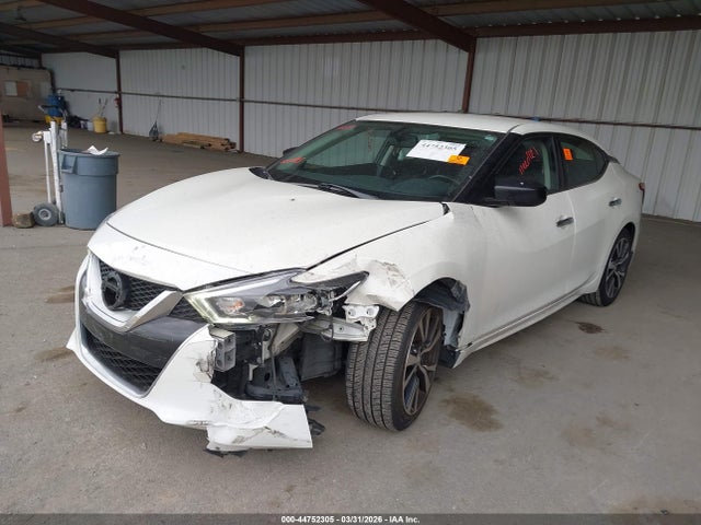 1N4AA6AP6HC431152 Nissan Maxima 3.5 S