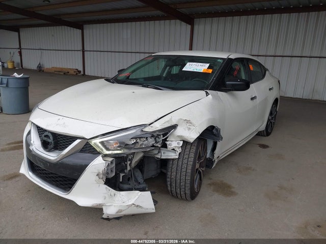 1N4AA6AP6HC431152 Nissan Maxima 3.5 S
