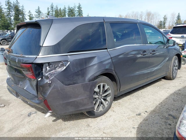 Honda Odyssey Ex-l 2026 5FNRL6H68TB047616 Image 4