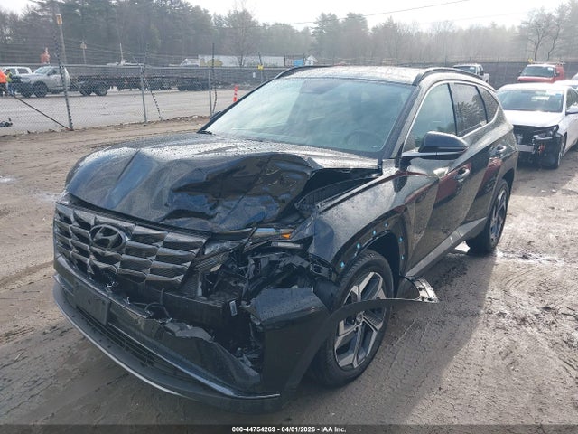Hyundai Tucson Limited 2023 5NMJECAE8PH166360 Image 2