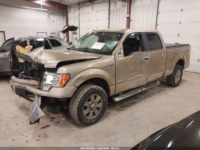 2011 Ford F-150 Xlt მანქანა იყიდება აუქციონზე, vin: 1FTFW1ET9BFB88051, აუქციონის ნომერი: 44754382