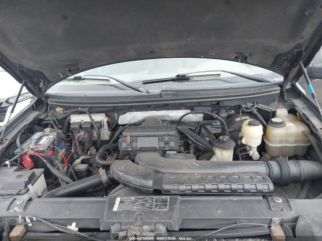 44755060 :رقم المزاد ، 1FTPW14V38FA65717 vin ، 2008 Ford F-150 60th Anniversary/fx4/king Ranch/lariat/xlt مزاد بيع