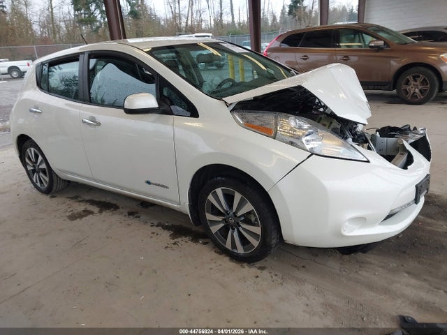 2016 NISSAN LEAF 1N4BZ0CPXGC307651