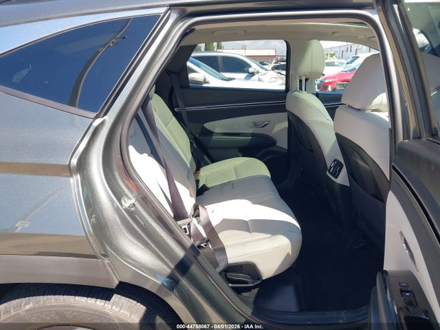 Hyundai Tucson Limited 2023 5NMJE3AE1PH202566 Image 8