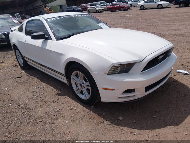 2013 FORD MUSTANG 1ZVBP8AM8D5265453
