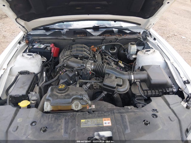 2013 FORD MUSTANG 1ZVBP8AM8D5265453 Photo 9