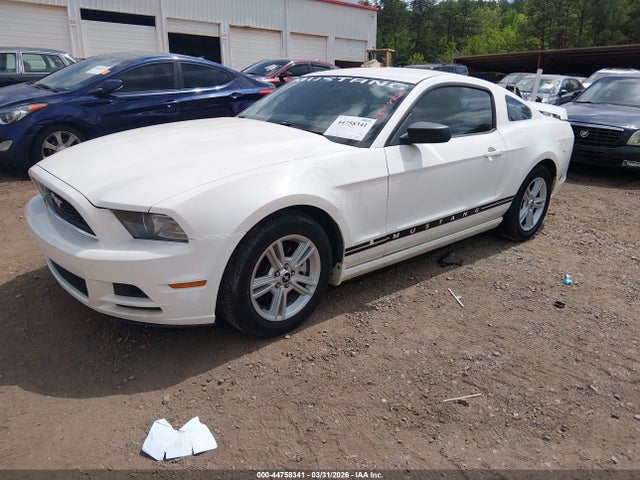 2013 FORD MUSTANG 1ZVBP8AM8D5265453 Photo 1