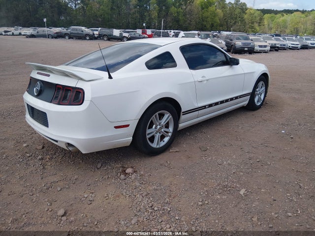 2013 FORD MUSTANG 1ZVBP8AM8D5265453 Photo 3