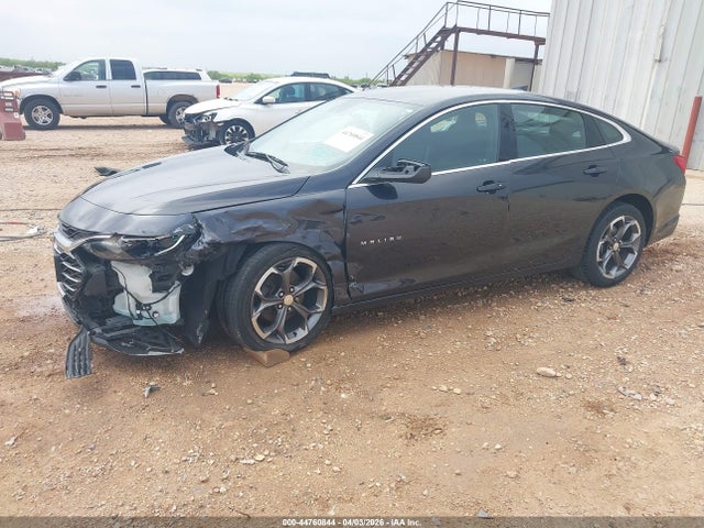 Продаж на аукціоні авто 2023 Chevrolet Malibu Fwd 1lt, vin: 1G1ZD5ST0PF140954, номер лоту: 44760844