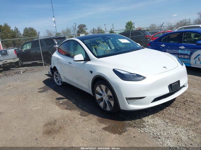 Aukcja sprzedaży 2023 Tesla Model Y, vin: 7SAYGDEE4PF803824, numer aukcji: 44762223