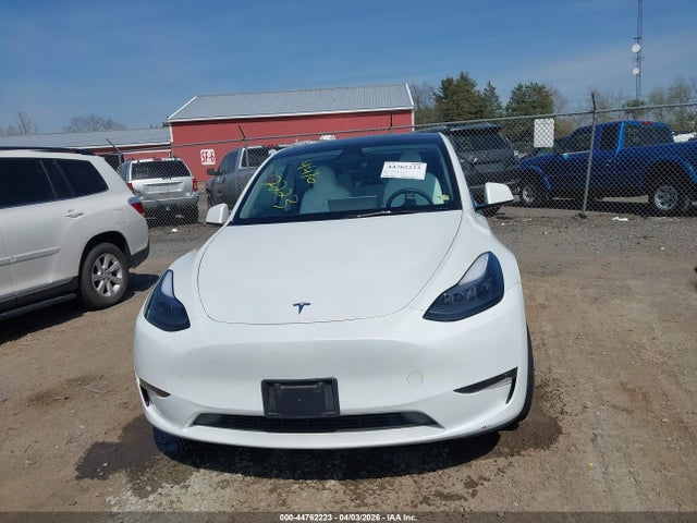 Aukcja sprzedaży 2023 Tesla Model Y, vin: 7SAYGDEE4PF803824, numer aukcji: 44762223