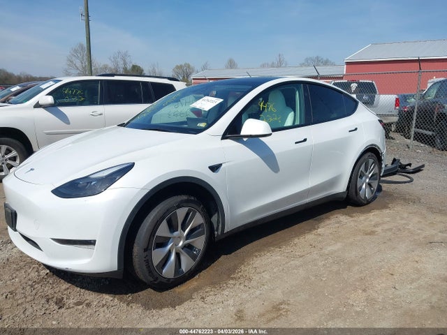 Aukcja sprzedaży 2023 Tesla Model Y, vin: 7SAYGDEE4PF803824, numer aukcji: 44762223