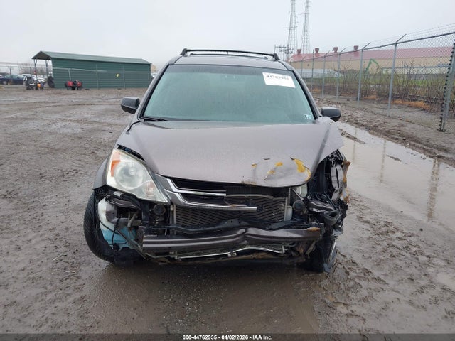 Продажа на аукционе авто 2011 Honda Cr-v Ex, vin: 5J6RE4H51BL095504, номер лота: 44762935