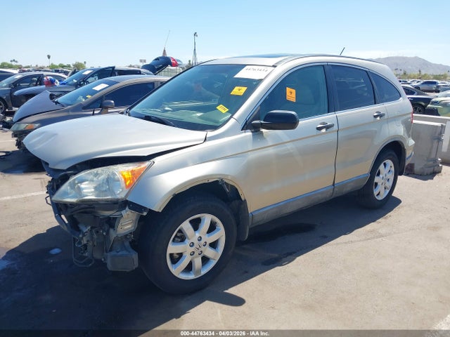 2007 Honda Cr-v Ex მანქანა იყიდება აუქციონზე, vin: JHLRE38597C062647, აუქციონის ნომერი: 44763434