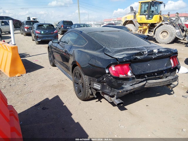 Ford Mustang Ecoboost 2018 1FA6P8TH3J5135215 Image 3