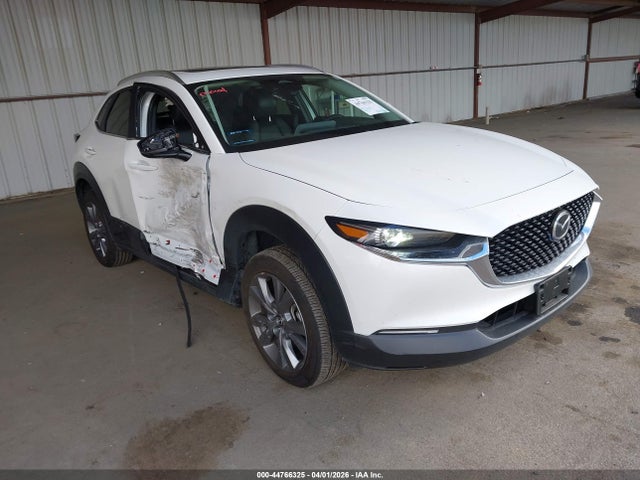 2025 3MVDMBCM7SM830554 zdjęcie główne