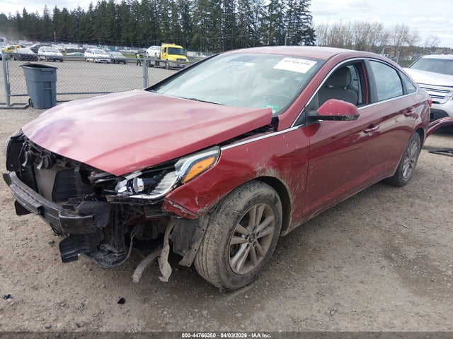5NPE24AF4GH386428 Hyundai SONATA SE