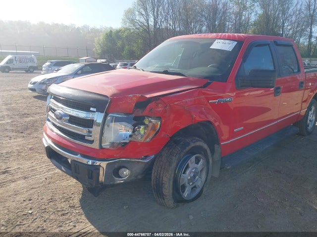 44766707 :رقم المزاد ، 1FTFW1CT2DFD49362 vin ، 2013 Ford F-150 Xlt مزاد بيع
