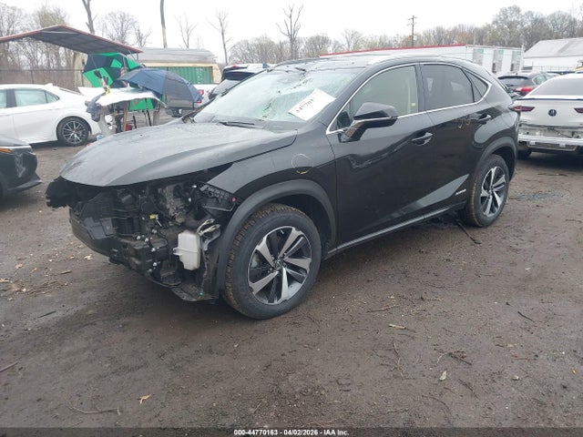 44770163 :رقم المزاد ، JTJBJRBZ3K2099827 vin ، 2019 Lexus Nx 300h مزاد بيع