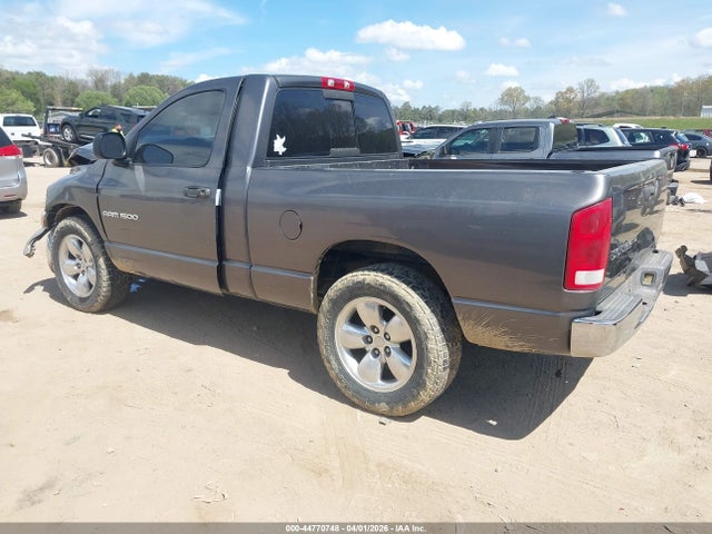 2002 DODGE RAM 1500 1D7HA16N92J150443 Photo 2