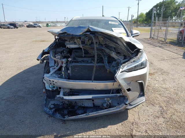 Продажа на аукционе авто 2024 Lexus Nx 250 Premium, vin: 2T2GDCAZ4RC007176, номер лота: 44771979