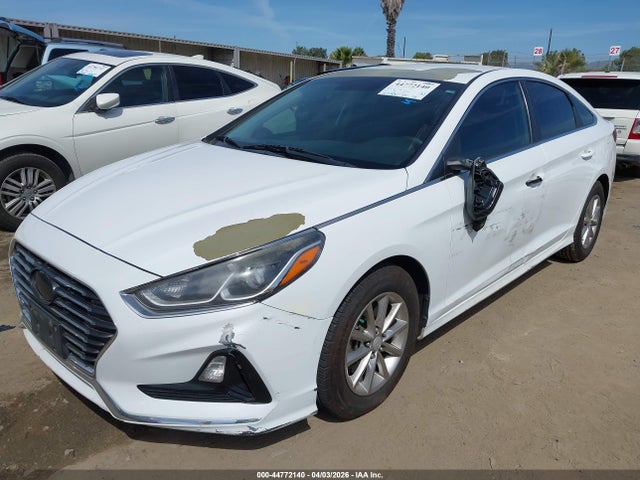 5NPE24AF6JH697723 Hyundai SONATA SE