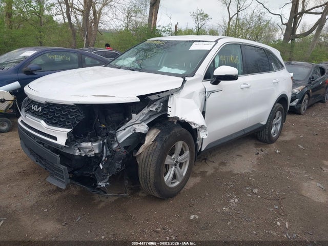 Продажа на аукционе авто 2023 Kia Sorento Lx, vin: 5XYRGDLCXPG244873, номер лота: 44774065