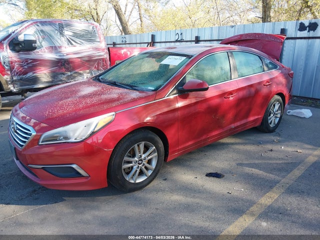 5NPE24AF4HH517570 Hyundai Sonata