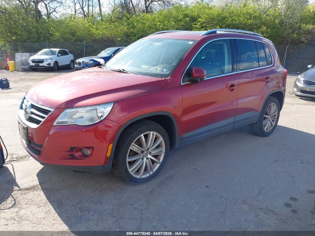 2011 VOLKSWAGEN TIGUAN WVGAV7AX6BW000784 Photo 1