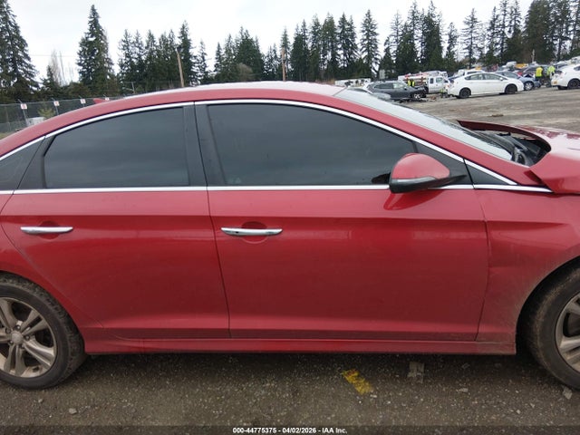 Hyundai SONATA SEL 2019 5NPE34AF8KH747388 Image 13