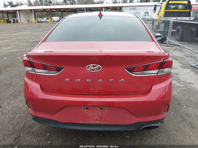 Hyundai SONATA SEL 2019 5NPE34AF8KH747388 Image 16