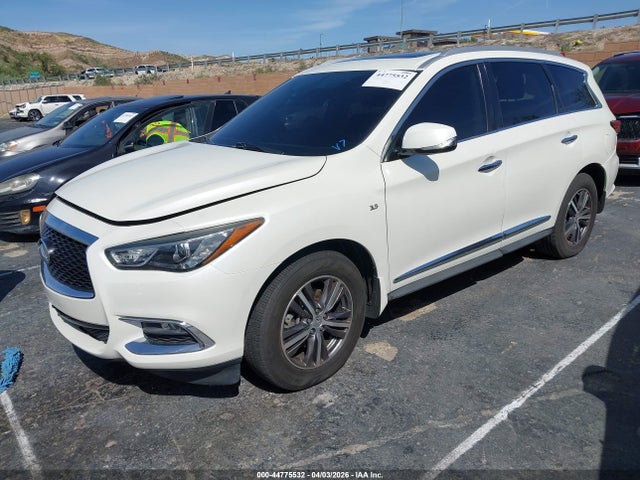 5N1DL0MN7KC527691 Infiniti QX60 LUXE