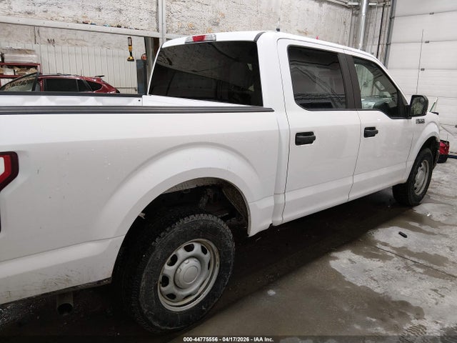 1FTEW1E54KKE23444 Ford F-150 Xl