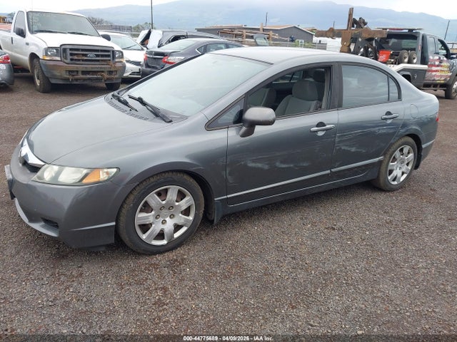 44775689 :رقم المزاد ، 19XFA1E52AE039635 vin ، 2010 Honda Civic Lx مزاد بيع