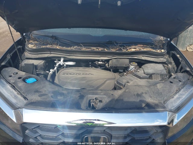 2023 Honda Passport Awd Ex-l მანქანა იყიდება აუქციონზე, vin: 5FNYF8H54PB033174, აუქციონის ნომერი: 44775725