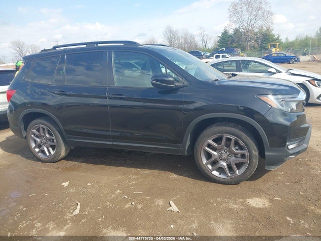 2023 Honda Passport Awd Ex-l მანქანა იყიდება აუქციონზე, vin: 5FNYF8H54PB033174, აუქციონის ნომერი: 44775725